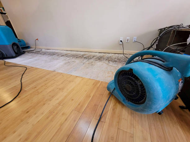 Professional Sewage Cleanup technician working in Foothill Ranch, CA